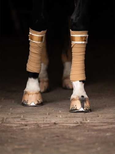 owijki dla koni złote ps of sweden  (1).jpg