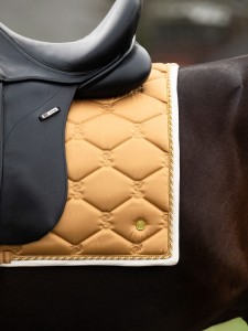 Czaprak Signature Golden Dressage PS of Sweden