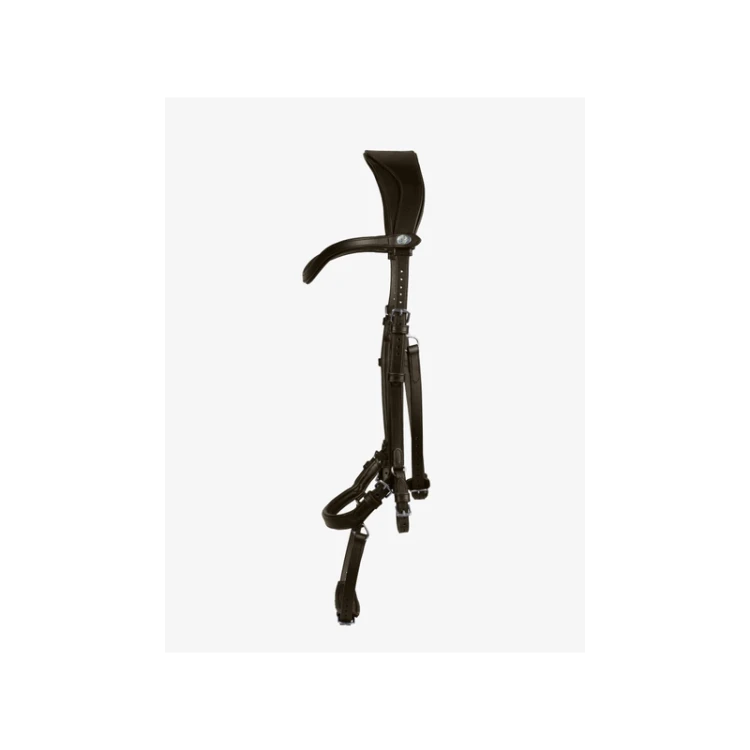 ogłowie King Edward ps of sweden  (1).png