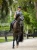 nauszniki szare metallic blue equestrian stockholm  (4).webp