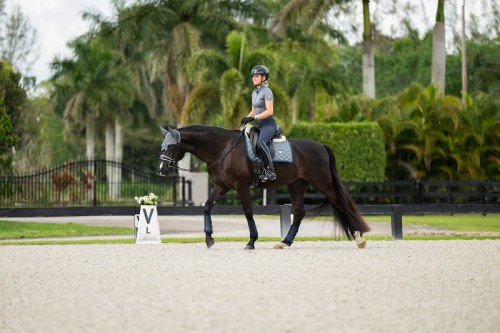 czaprak ujeżdżeniowy szary equestrian stockholm  (1).jpg