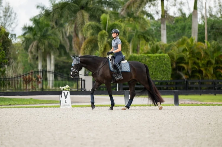 czaprak ujeżdżeniowy szary equestrian stockholm  (1).jpg