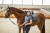 czaprak ujeżdżeniowy szary equestrian stockholm  (4).jpg
