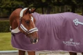kantar orchid bloom equestrian stockholm fioletowy  (3).webp