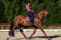 timeless-rose-owijki różowe equestrian stockholm  (3).webp