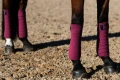 timeless-rose-owijki różowe equestrian stockholm  (4).webp