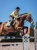 soft-lemon-czaprak skokowy żółty equestrian stockholm  (1).webp