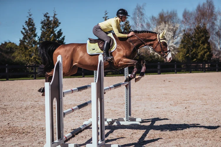 soft-lemon-czaprak skokowy żółty equestrian stockholm  (2).webp