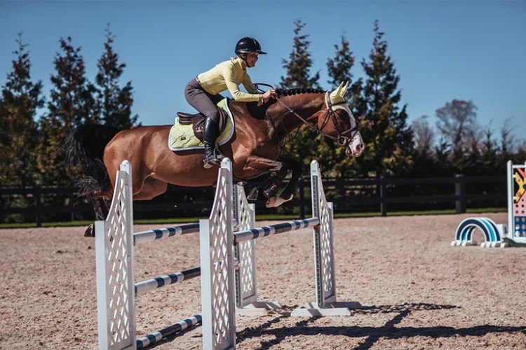 soft-lemon-czaprak skokowy żółty equestrian stockholm  (3).webp