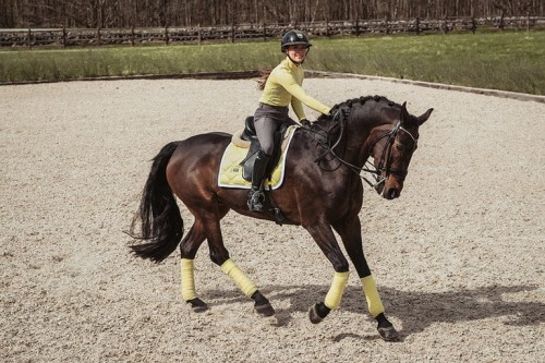 soft-lemon-czaprak ujeżdżeniowy equestrian stockholm  (1).jpg