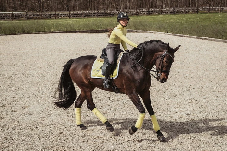 soft-lemon-czaprak ujeżdżeniowy equestrian stockholm  (1).jpg
