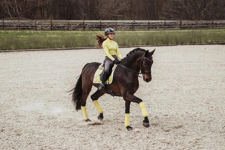 soft-lemon-czaprak ujeżdżeniowy equestrian stockholm  (2).jpg