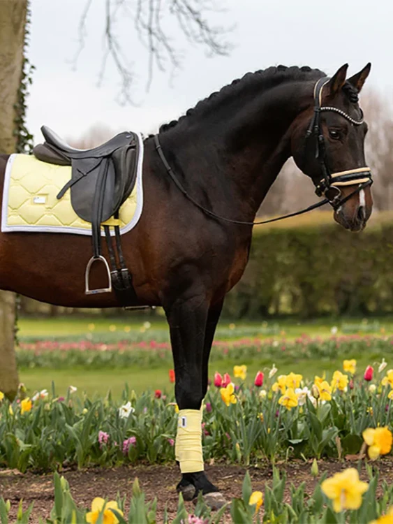 soft-lemon-czaprak ujeżdżeniowy equestrian stockholm  (3).webp
