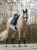 amazonite-owijki equestrian stockholm  (2).webp