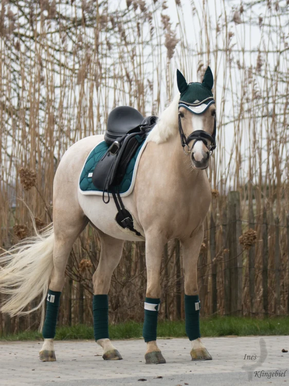 amazonite-owijki equestrian stockholm  (2).webp