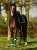 amazonite-owijki equestrian stockholm  (3).webp