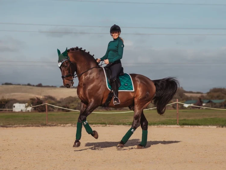 _amazonite czaprak ujeżdżeniowy zielony equestrian stockholm  (3).webp