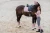 czaprak ujeżdżeniowy różowy kryształki equestrian stockholm  (3).webp