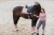 czaprak ujeżdżeniowy różowy kryształki equestrian stockholm  (5).webp