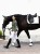 czaprak ujeżdżeniowy biały oliwkowy equestrian stockholm (2).jpg