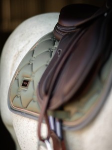 Czaprak Striking Valley Jump Equestrian Stockholm