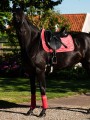 1110-105-327-Saddle-Pad-Velvet-Monogram-Dressage-327-Scarlet-Pink-DSC-7783-1500x2000.jpg