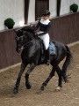 czaprak ujeżdżeniowy szary winter shadow equestrian stockholm  (3).jpg
