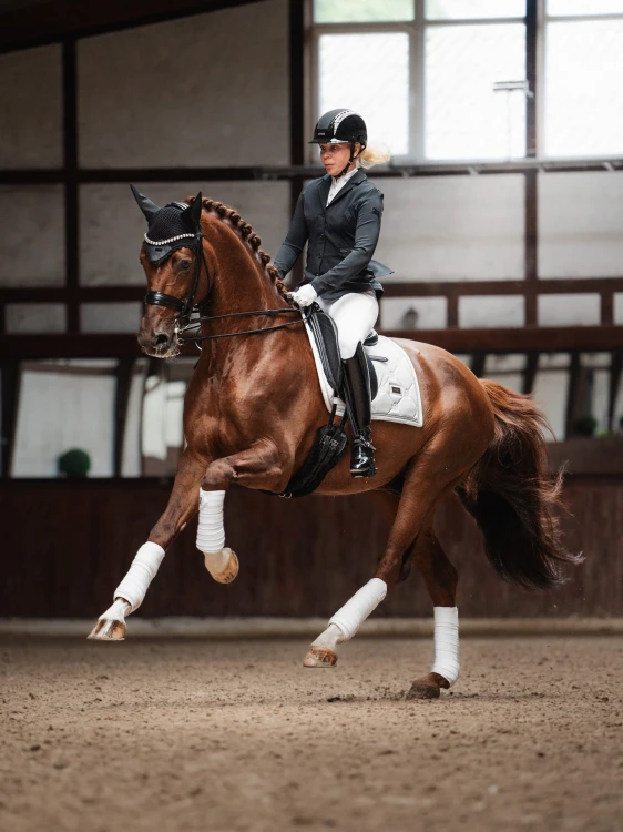 czaprak ujeżdżeniowy biały brokat timeless white equestrian stockholm  (2).jpg
