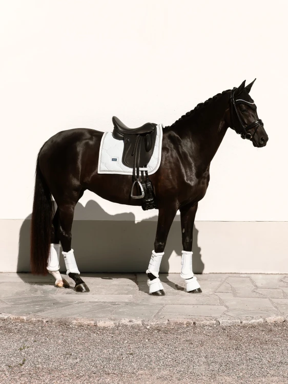 czaprak ujeżdżeniowy biały brokat timeless white equestrian stockholm  (3).jpg