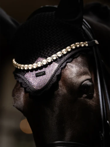 nauszniki purple glimmer brokat equestrian stockholm  (1).webp