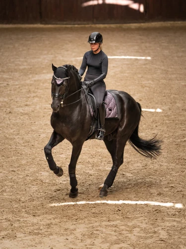nauszniki purple glimmer brokat equestrian stockholm  (2).webp
