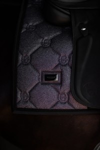 Czaprak Purple Glimmer Dressage Equestrian Stockholm