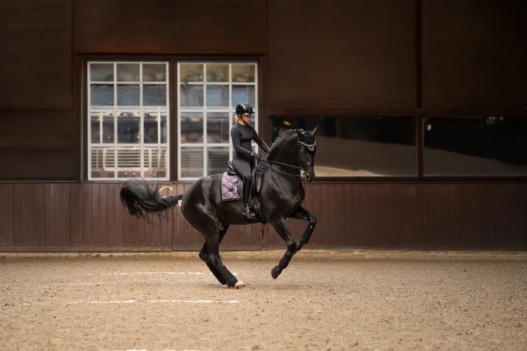 czaprak ujeżdżeniowy purple glimmer equestrian stockholm  (7).jpg