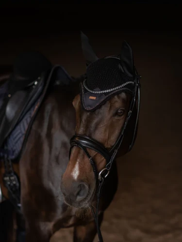 nauszniki dark ocean equestrian stockholm  (1).webp
