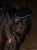 nauszniki dark ocean equestrian stockholm  (3).webp