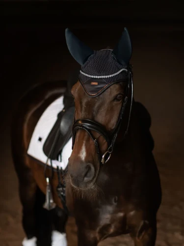 nauszniki wyciszające dark ocean equestrian stockholm  (2).webp
