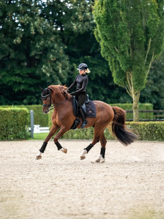 czaprak ujeżdżeniowy dark ocean equestrian stockholm  (2).webp