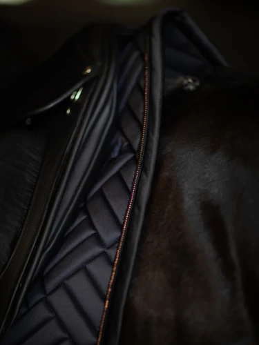 czaprak ujeżdżeniowy dark ocean equestrian stockholm  (2).webp