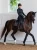 bryczesy kompresyjne czarne equestrian stockholm  (4).webp