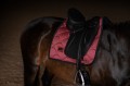 czaprak ujeżdżeniowy różowy equestrian stockholm  (6).jpg