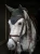 nauszniki zielone equestrian stockholm  (1).webp