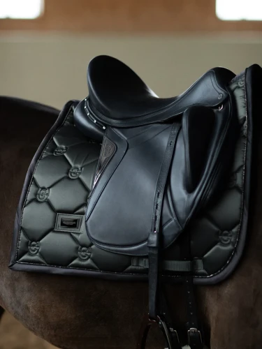 czaprak ujeżdżeniowy zielony equestrian stockholm  (1).webp