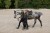 IMG_1464.jpeg