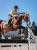 nauszniki żółte soft lemon equestrian stockholm  (2).webp