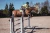 nauszniki żółte soft lemon equestrian stockholm  (3).webp