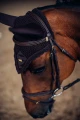 nauszniki wyciszające brązowe equestrian stockholm  (2).webp