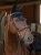 nauszniki modern black equestrian stockholm  (2).webp