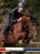 nauszniki modern black equestrian stockholm  (3).webp