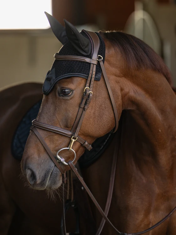 nauszniki modern black equestrian stockholm  (4).webp