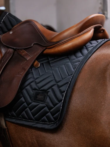 czaprak czarny modern skokowy equestrian stoskholm  (2).webp